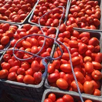 گوجه پرسی و گوشتی بارب دهی بالا خوش مزه