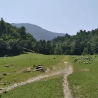 اجاره سوییت|اجارهٔ کوتاهمدت آپارتمان و سوئیت|زیرآب, |دیوار