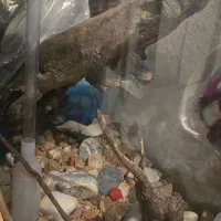 آکواریوم به همراه تصفیه و پمپ آب و چراغ