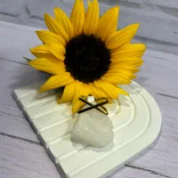 انگشتر|بدلیجات|پرند, فاز ۰|دیوار