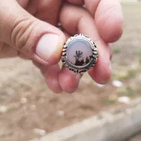 انگشتر شجر طبیعی