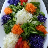 دوتاعروس هلندی نرماده به علت کمبود جا