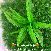 بوته تزئینی سرخس گرینوال|گل مصنوعی|تهران, نصرت|دیوار
