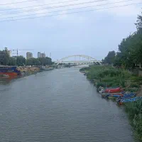 ماهی قزل آلا