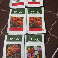 سیم کارت سبز|سیمکارت|بندر دیر, |دیوار