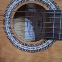 گیتار ۳/۴ هافنر|گیتار، بیس، امپلیفایر|رشت, معلم|دیوار