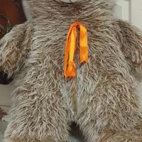 خرس شاسخین