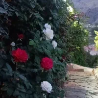 اجاره اطاق در اقامتگاه بوم‌گردی وارگه سوسن