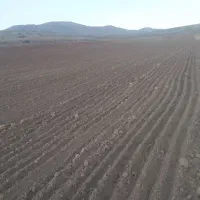 انواع زمین  ویلایی باغی  زراعی