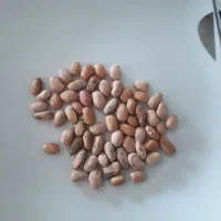 لوبیا چیتی|خوردنی و آشامیدنی|تهران, دریاچه شهدای خلیج فارس|دیوار