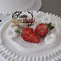 انواع شیرینی های خشک و تر وکیکای تولدت