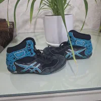 کفش و دستکش بوکس