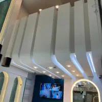 نصاب آنتن،برقکار،نصاب دوربین و دزدگیر اماکن|خدمات پیشه و مهارت|تهران, بنیهاشم|دیوار