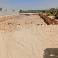 اجاره بیل|خدمات حمل و نقل|اندیمشک, |دیوار