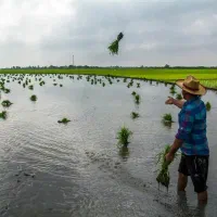 فروش خزانه (توم) صدری گرم