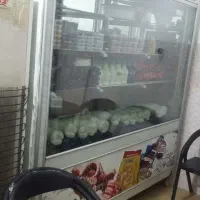 یخچال رستورانی و لبنیاتی وسوپر مارکتی