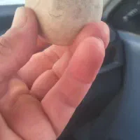 سنگ آسیاب|کلکسیون اشیاء عتیقه|خرمشهر, |دیوار