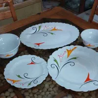 سرویس آرکوپال کمیاب طرح فرناز