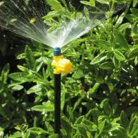 آبیاری قطره ای ،مه پاش و گرین وال|خدمات باغبانی و درختکاری|تهران, یوسفآباد|دیوار