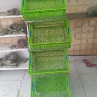 تعدادی وسایل مغازه|فروشگاه و مغازه|ساوه, |دیوار