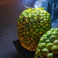 لیمو ترش درجه یک پوست نازک بوشهر|خوردنی و آشامیدنی|خورموج, |دیوار