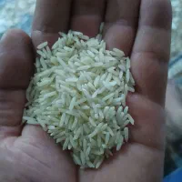 برنج هاشمی درجه یک