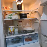 یخچال|یخچال و فریزر|گالیکش, |دیوار