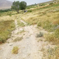 زمین باغی|فروش زمین و ملک کلنگی|زالیان, |دیوار