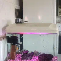 آکواریوم بهمراه لوازم