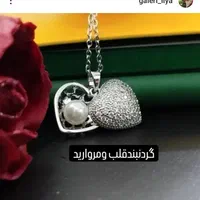 اکسسوری وزیورالات