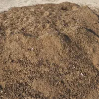 کود حیوانی بز|لوازم جانبی حیوانات|خورموج, |دیوار