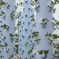 گلخانه ۱۰۰۰ متری کشت عمودی آئروپونیک|فروش دفتر صنعتی، کشاورزی، تجاری|تهران, سعادتآباد|دیوار