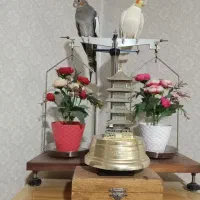 عروس هلندی