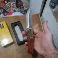 چاقو باک طلایی