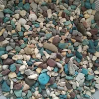 آب فارون|ماهی|ایرانشهر, |دیوار