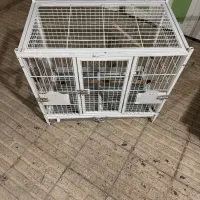 قفس پانسیونی مخصوص سگ و گربه و خرگوش وکاسکو