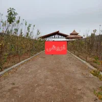 ویلا باغ لاکچری