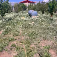 500 متر باغچه 4دیواری شده سند قطعی هومند وادان|فروش زمین و ملک کلنگی|دماوند, دماوند|دیوار
