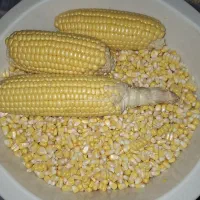 بلال دون شده مکزیکی|خوردنی و آشامیدنی|تهران, امام زاده عبدالله|دیوار