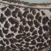 فروش تعدادی وسایل دست دوم|حراج|کازرون, |دیوار