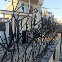 حفاظ روی دیوار شاخگوزنی.بوته خاری نرده پنجره در|خدمات پیشه و مهارت|مشهد, امیریه|دیوار