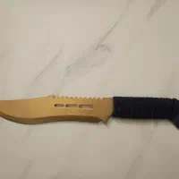 چاقو تزئینی|کلکسیون و سرگرمی|یزد, |دیوار