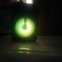 اسپیکر فلش خور.