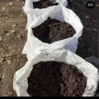 فروش کد حیوانی