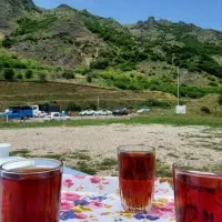 همسفر|فعالیت داوطلبانه|قم, پردیسان|دیوار