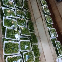 فلفل شیرین بسته بندی|خوردنی و آشامیدنی|قم, منبع آب|دیوار