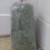 یونجه جهت حیوانات خانگی|لوازم جانبی حیوانات|مشهد, شهرک مهرگان|دیوار