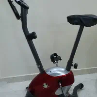 دوچرخه ثابت پاندا