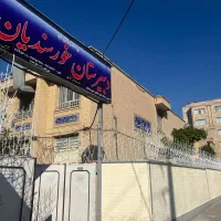 محافظ تیغ تیغی آهنی خانه حیاط باغ