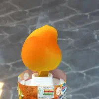 آبمیوه بستنی